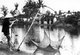 Vietnam: Local fisherman on the river near Hoi An (1950)